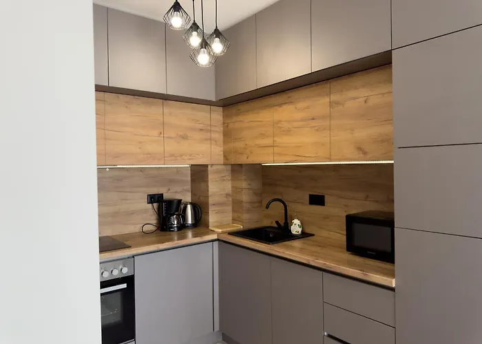 Modern 1br With Free Street Parking And Free Gym Pass 5-min Drive From Centre 公寓 普罗夫迪夫