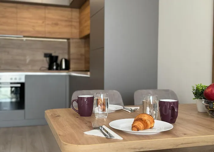 Modern 1br With Free Street Parking And Free Gym Pass 5-min Drive From Centre 公寓 普罗夫迪夫