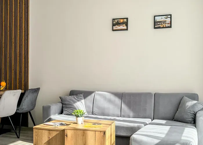 Modern 1br With Free Street Parking And Free Gym Pass 5-min Drive From Centre 公寓 普罗夫迪夫