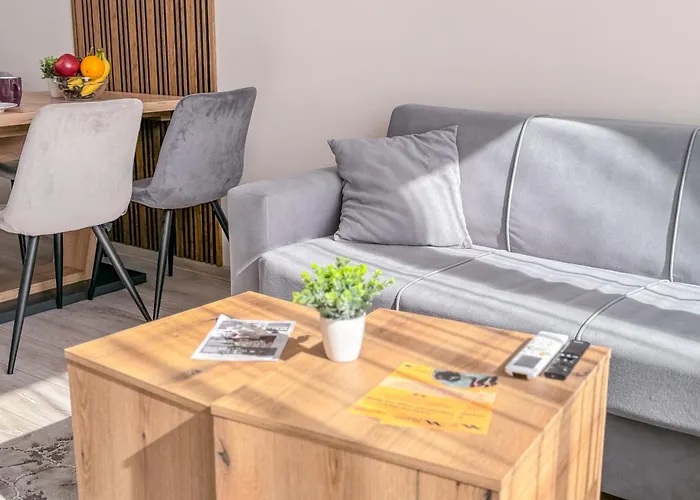 Modern 1br With Free Street Parking And Free Gym Pass 5-min Drive From Centre 普罗夫迪夫