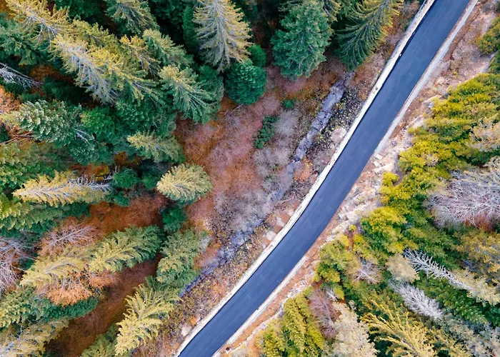 Modern 1br With Free Street Parking And Free Gym Pass 5-min Drive From Centre 普罗夫迪夫